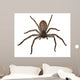Big Fat Spider