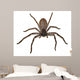 Big Fat Spider