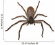 Big Fat Spider