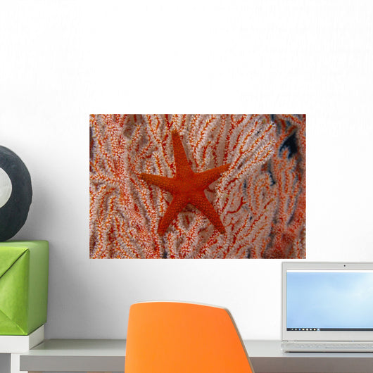 Thailand, Sea Star Aka Starfish Gorgonian Coral Red And White Wall Mural