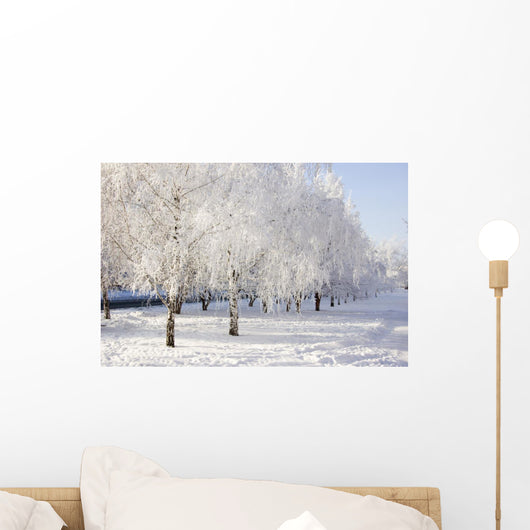 winter birch trees alley Wall Mural