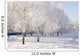 winter birch trees alley Wall Mural