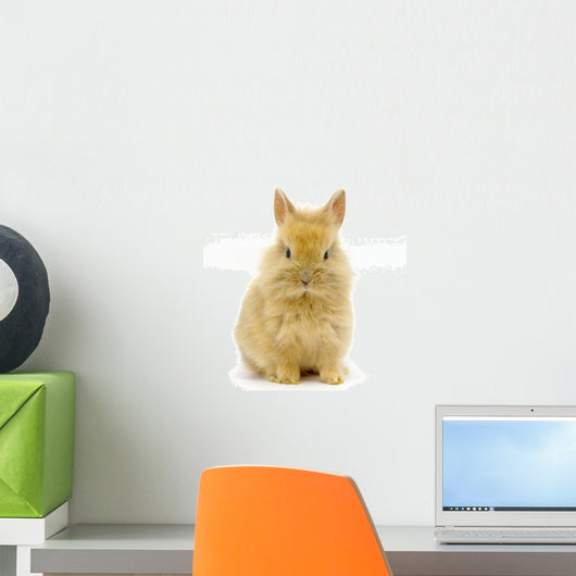 Small rabbit Wall Decal