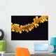 Hawaii, Goby On Wire Coral, Close Up, Black Background, Top View Wall Mural