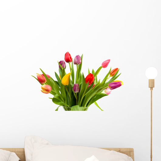 Dutch tulips in glass vase over white background Wall Mural