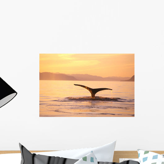 Alaska, Frederick Sound, Humpback Whale Fluke At Sunset Wall Mural