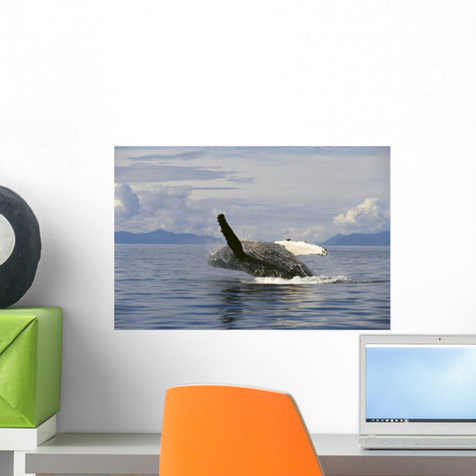 Alaska, Frederick Sound, Humpback Whale Breaching Wall Mural