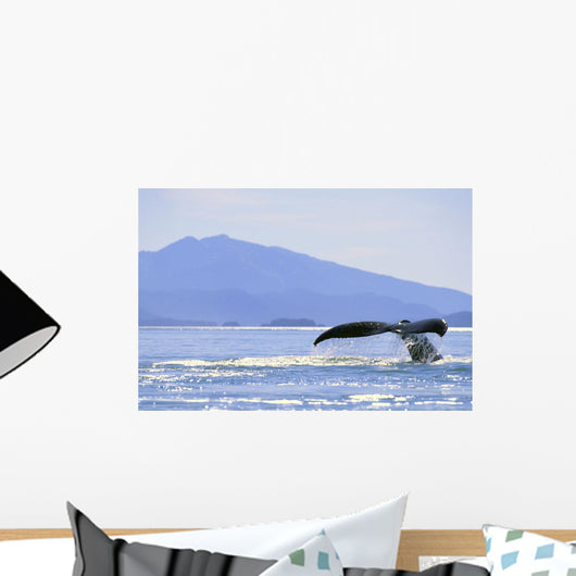 Alaska, North Pass, Humpback Whale Flukes Wall Mural