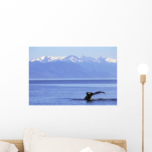 Humpback Whale Fluke With Snowcapped Mountains Background Wall Mural
