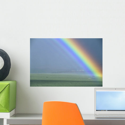 Hawaii, Maui, Faint Portion Of Rainbow Over Fields, Misty Sky Wall Mural