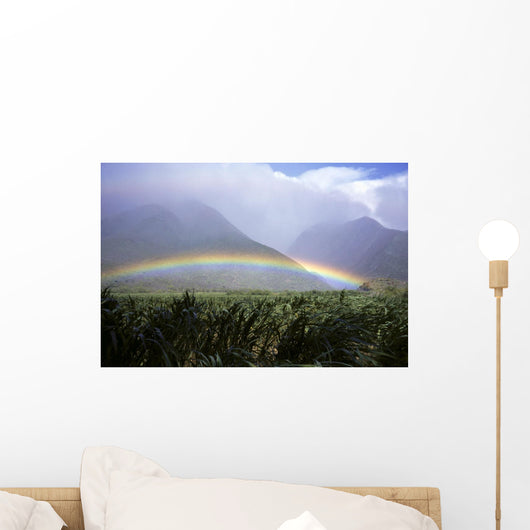 View Of Low Rainbow At Base Of Mountains, Clouds, Blue Sky, Field Wall Mural
