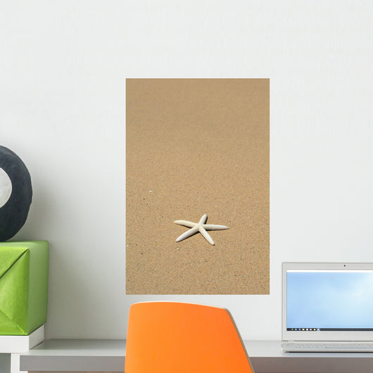 Side View Close-Up Of Single White Starfish On Sandy Beach Wall Mural
