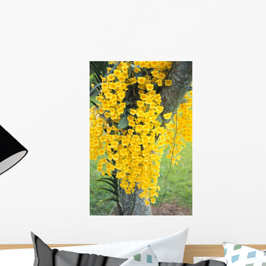 Draping Down From Tree Wall Mural