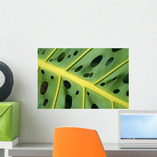 Extreme Close-Up Of An Ape Plant, Symmetrical Holes Wall Mural
