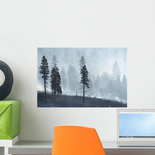 Logged Forest Wall Mural