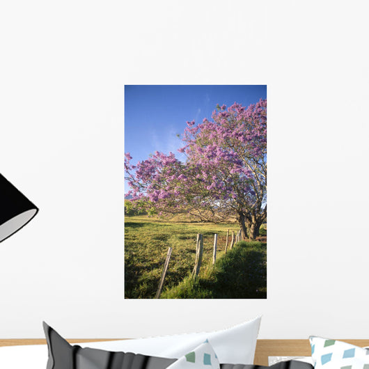 Hawaii, Maui, Upcountry With Jacaranda Tree, Blue Skies, And Fence Wall Mural