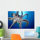 Hawaii, Day Octopus In Midwater, Underside With Sun Shining Through Wall Mural