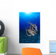 Hawaii, Day Octopus Floating To Reef Bottom, Sunburst Wall Mural