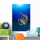 Hawaii, Day Octopus Floating To Reef Bottom, Sunburst Wall Mural