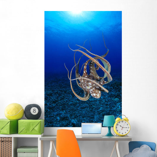 Hawaii, Day Octopus Floating To Reef Bottom, Sunburst Wall Mural