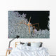 Close-Up Of Spider Crab On White Textured Background Against Black Wall Mural