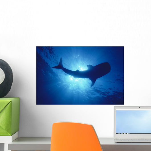 Hawaii, Whale Shark Backlit By Sunburst Silhouette Wall Mural