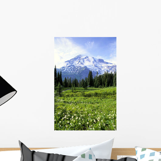 Avalanche Lilies In Meadow Along Nisqually Vista Trail Wall Mural