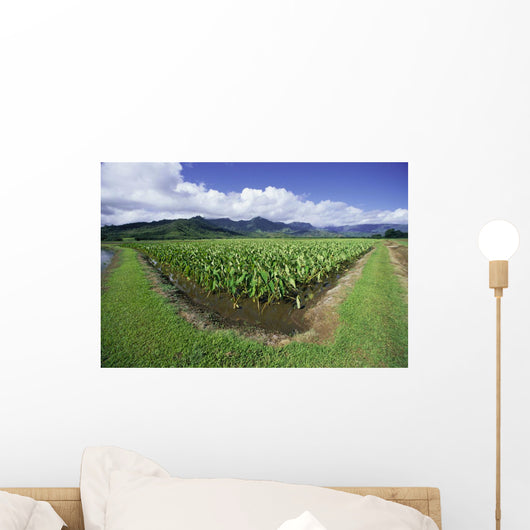 Blue Sky And Clouds Wall Mural