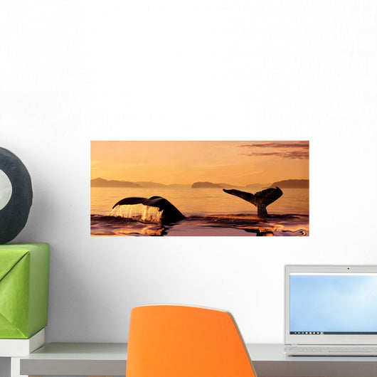 Two Humpback Whale Flukes Close-Up, Sunset Wall Mural