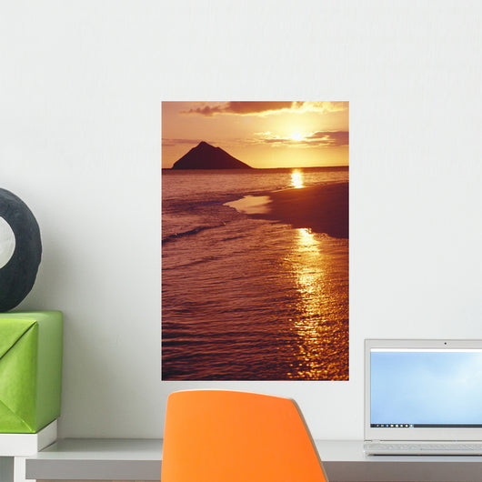 Golden Sunrise Sky And Reflections Shoreline Ocean Wall Mural