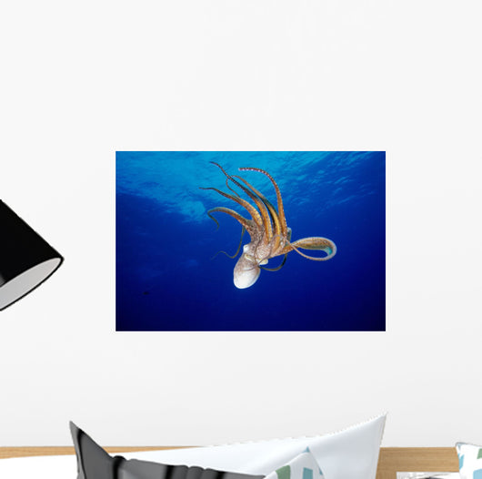 Hawaii, Full Length View Day Octopus Floating Down From Surface Wall Mural