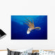 Hawaii, Full Length View Day Octopus Floating Down From Surface Wall Mural