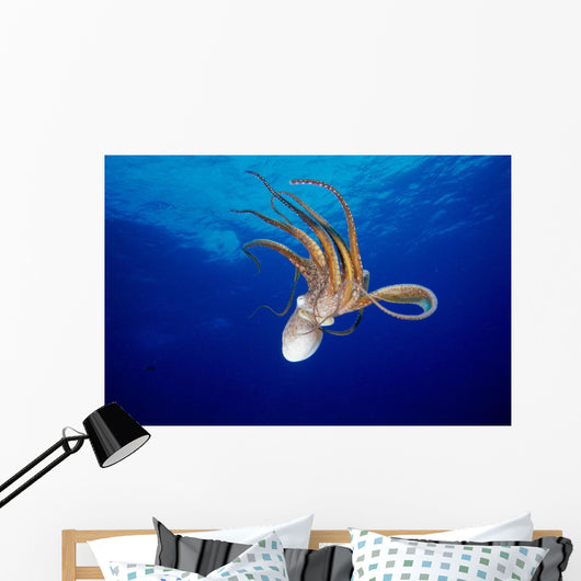 Hawaii, Full Length View Day Octopus Floating Down From Surface Wall Mural