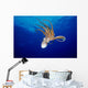 Hawaii, Full Length View Day Octopus Floating Down From Surface Wall Mural