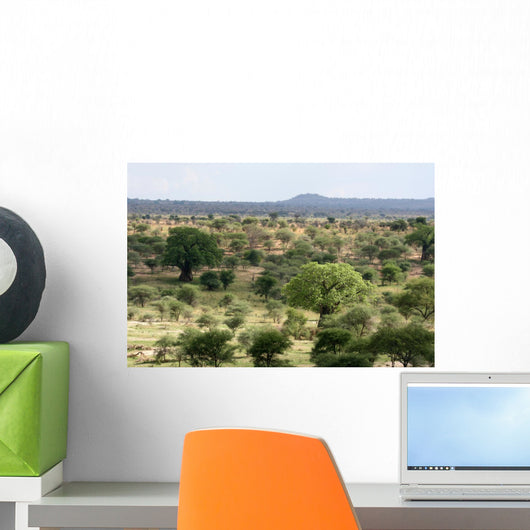 African Landscape Wall Mural