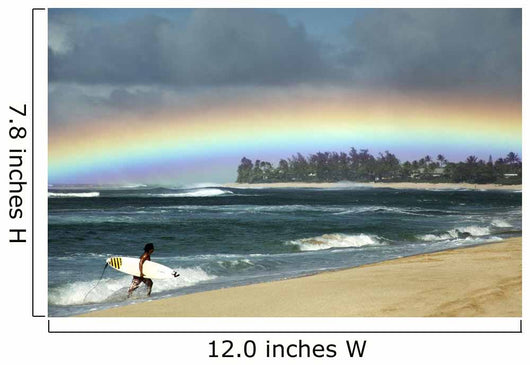 Bright Rainbow Editorial Use Only Wall Mural