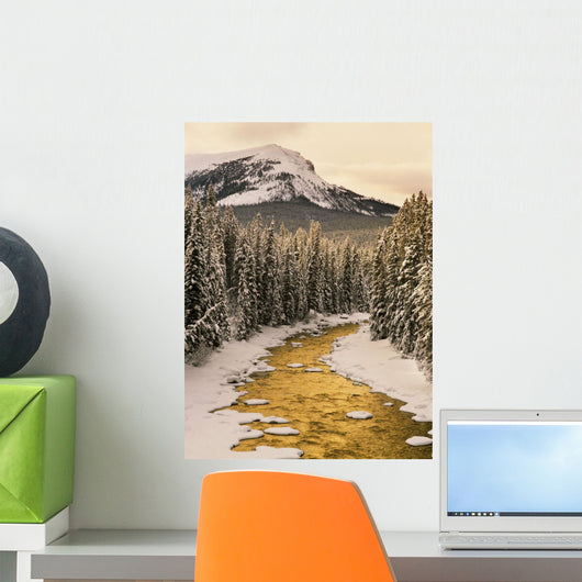 Fv5200, Natural Moments Photography Wall Mural