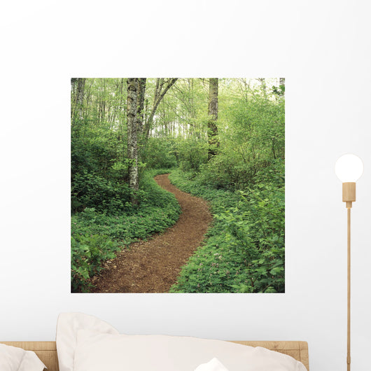 Path Through Woods Wall Mural