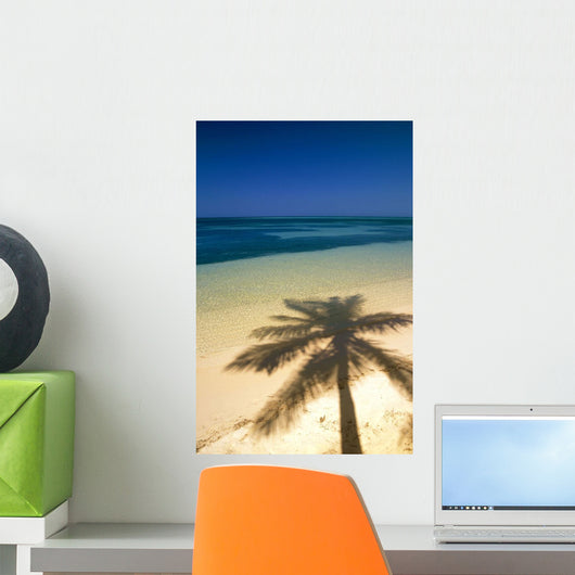 Palm Tree Shadow And Ocean, Great Barrier Reef, Northern Caye, Belize Wall Mural