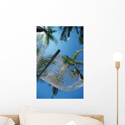 Hammock And Palm Tree, Great Barrier Reef, Northern Caye, Belize Wall Mural
