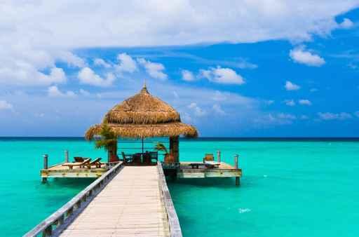 Water Cafe Beach Wall Decal Design 1