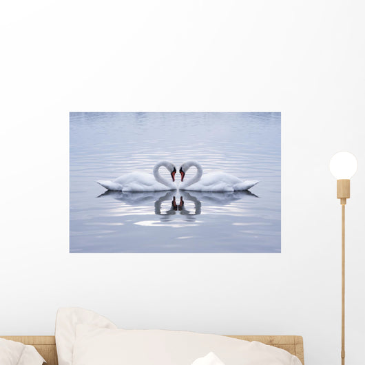 Swans Heart in the Calm Morning Lake Wall Mural