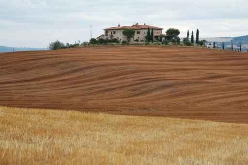 Paesaggio Toscano Wall Decal
