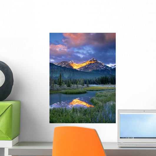 Fv3543, Natural Moments Photography Wall Mural