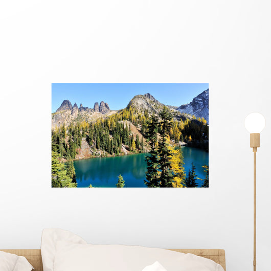 Golden Larch Trees and