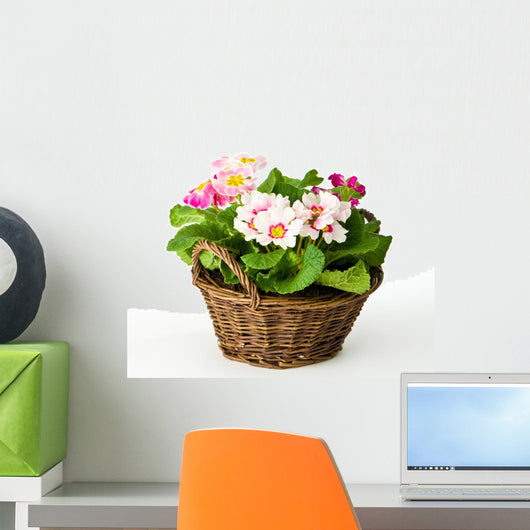 Spring Primroses Wall Decal