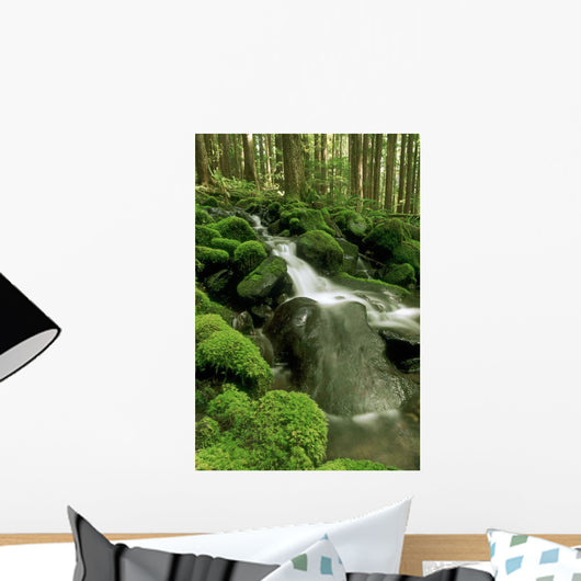 Sol Duc Watershed, Olympic National Park, Washington State Wall Mural