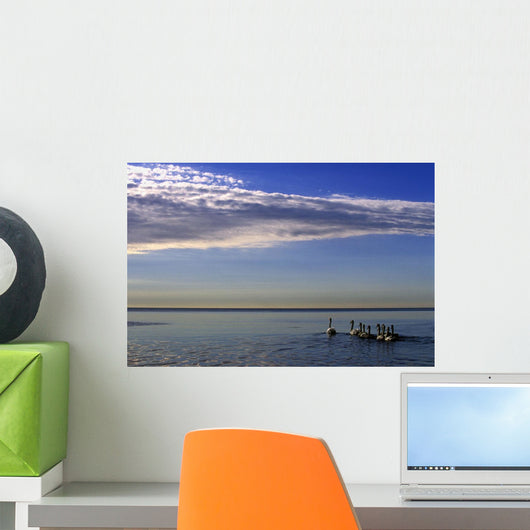 Goose In Ratray Marsh Into Lake Ontario, Mississauga, Ontario Wall Mural