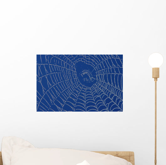 Spider Web Wall Mural