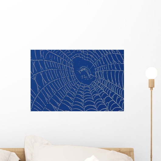 Spider Web Wall Mural